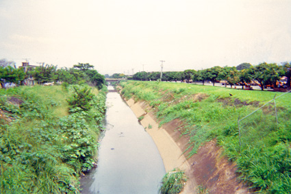 269-6.jpg