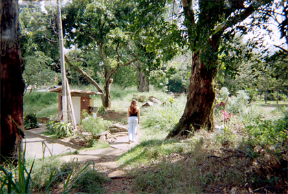 444-24.jpg