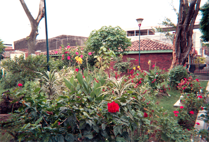 169-4.jpg
