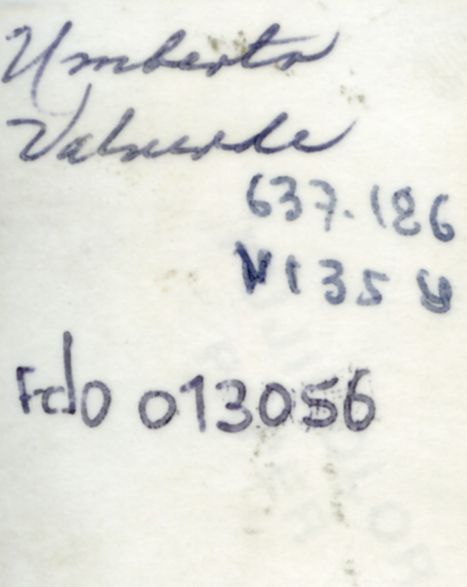 Fdo013056A.jpg