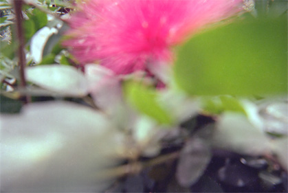 022-6.jpg