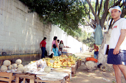 397-30.jpg