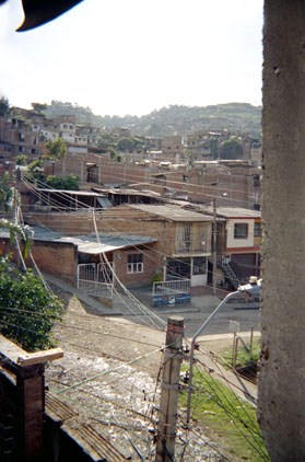 388-20.jpg