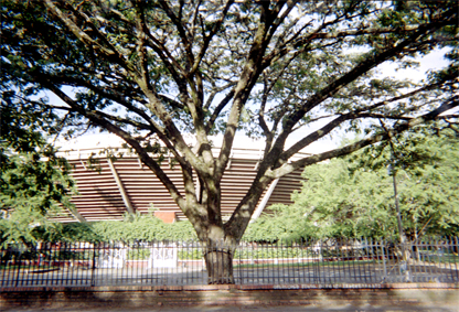 446-26.jpg
