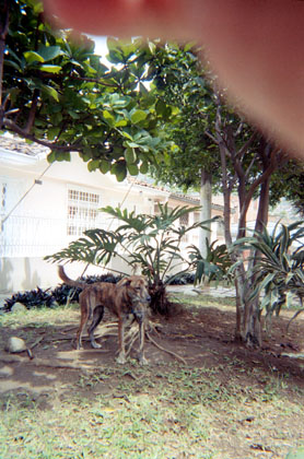 384-22.jpg