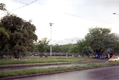 453-19.jpg