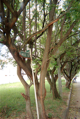 370-00.jpg