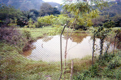 443-8.jpg