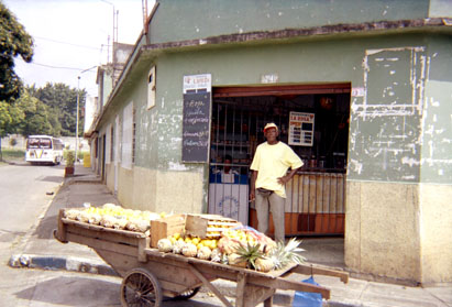 234-13.jpg