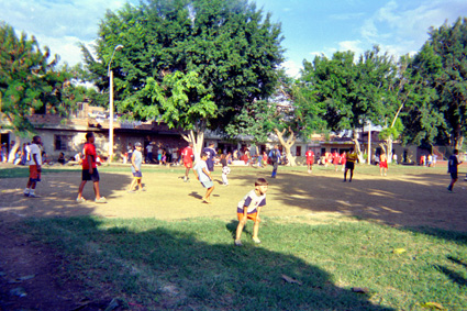 150-17.jpg