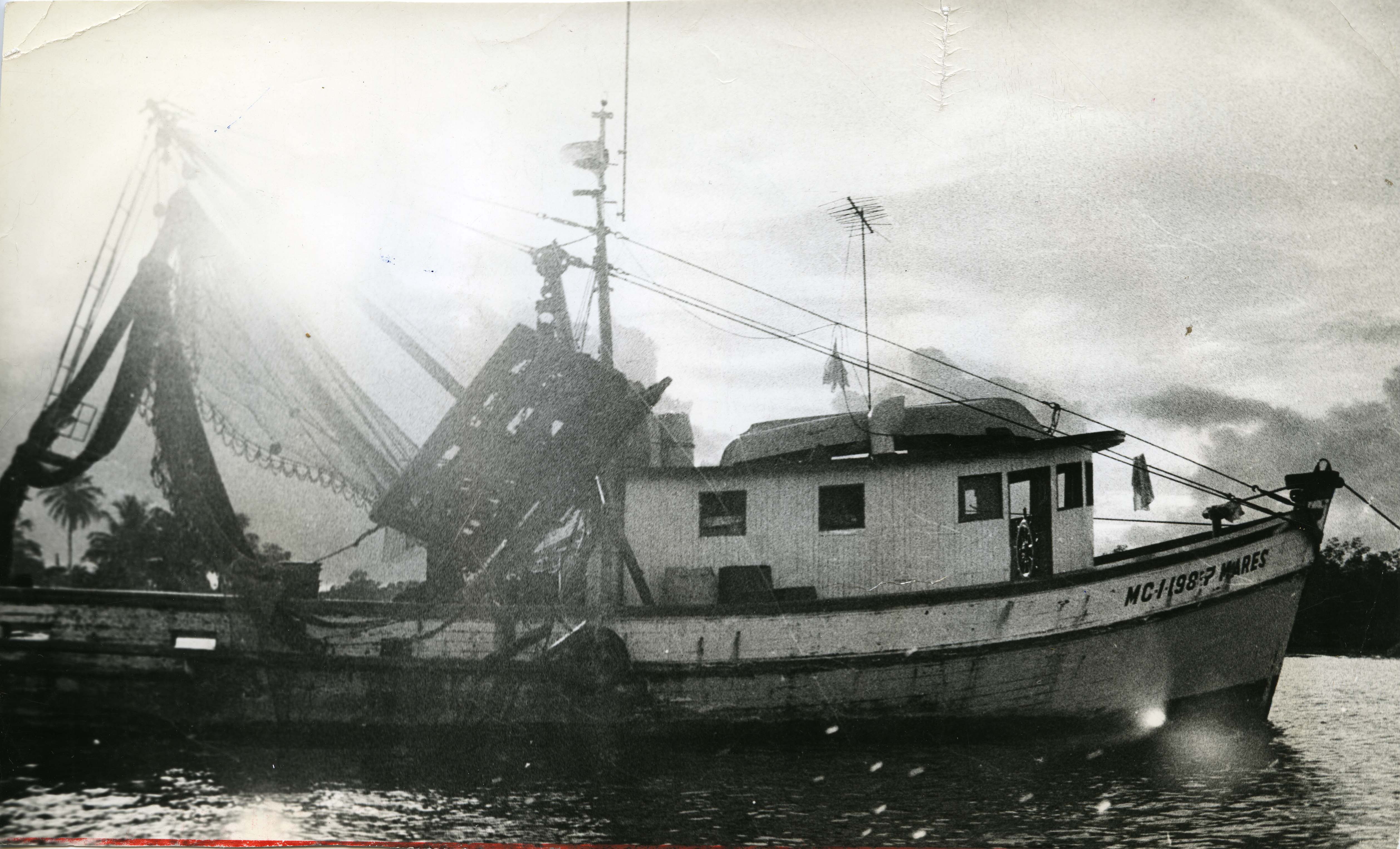 Fdo013394.jpg