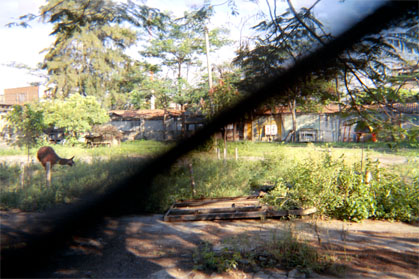 173-10.jpg