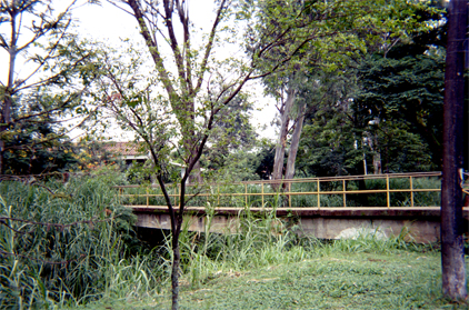 434-9.jpg