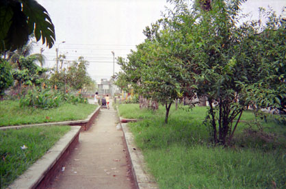283-14.jpg