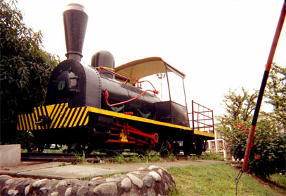 035-11.jpg