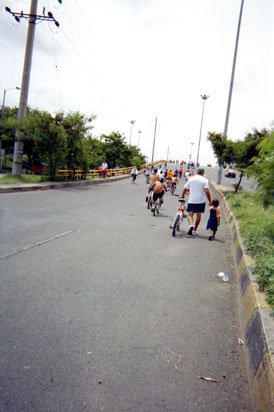 223-25.jpg
