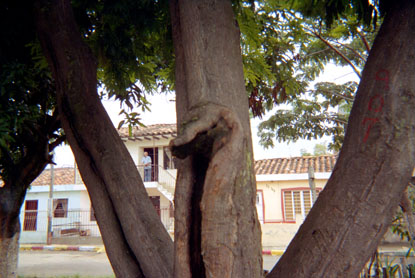 255-15.jpg