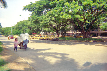 411-5.jpg