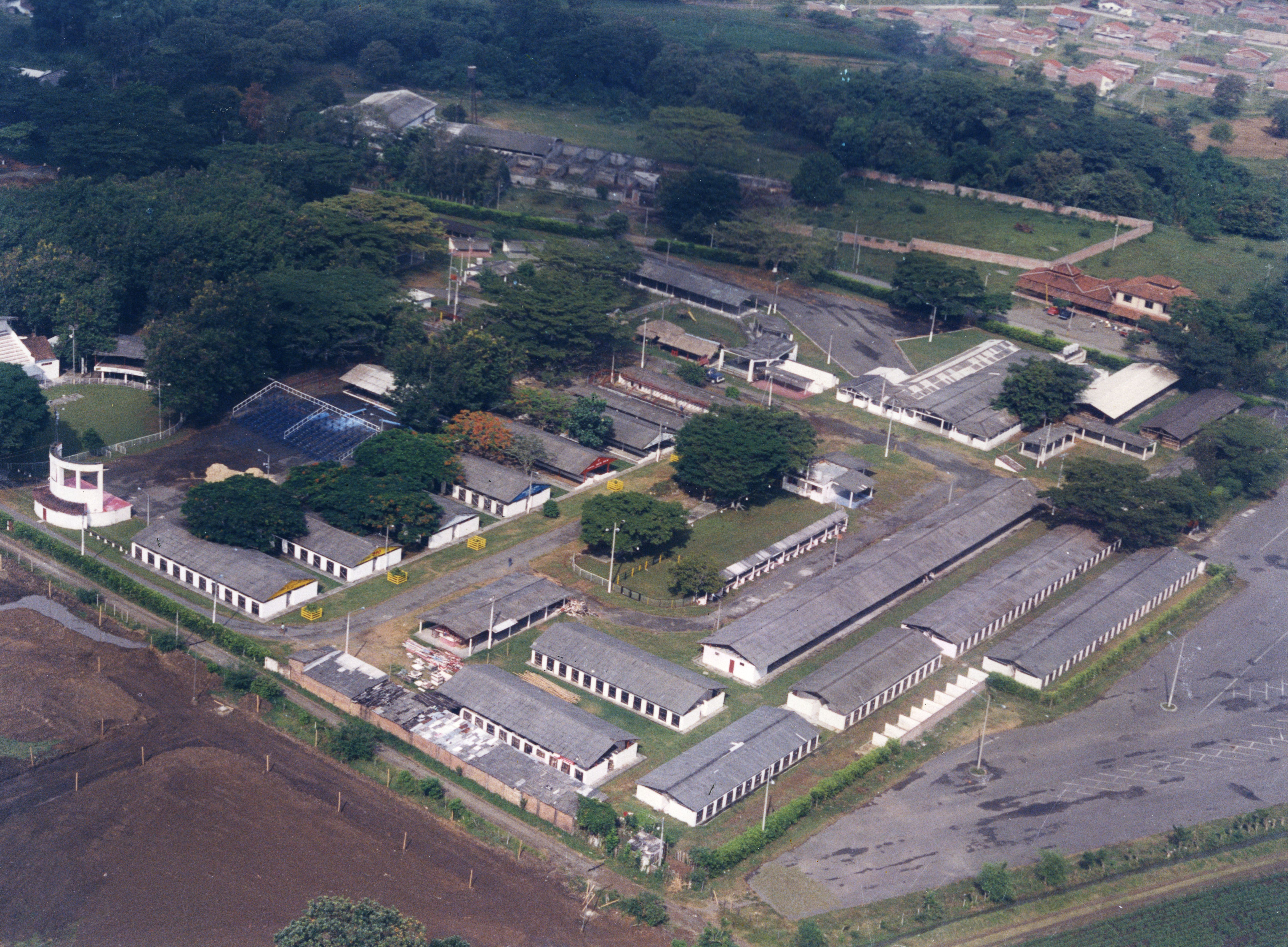 FDO024099.jpg
