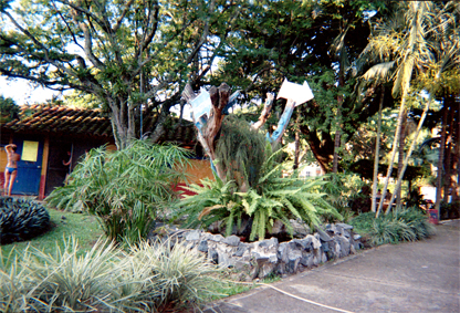 368-30.jpg