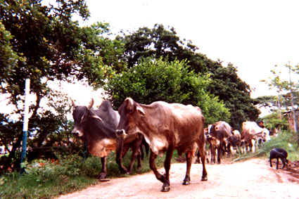 486-23.jpg