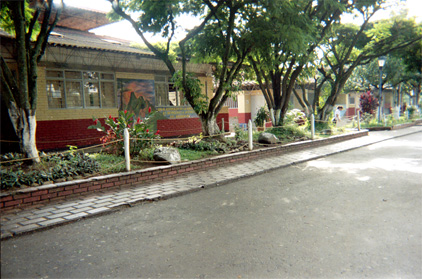 452-2.jpg