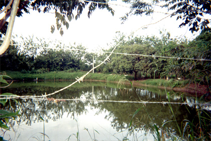 471-10.jpg