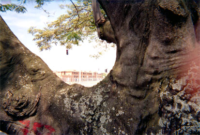 109-19.jpg