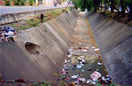 174-1.jpg