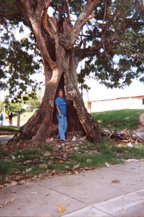 481-12.jpg