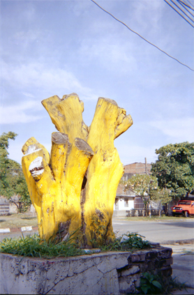 229-12.jpg
