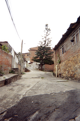 456-2.jpg