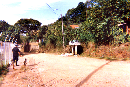 502-24.jpg