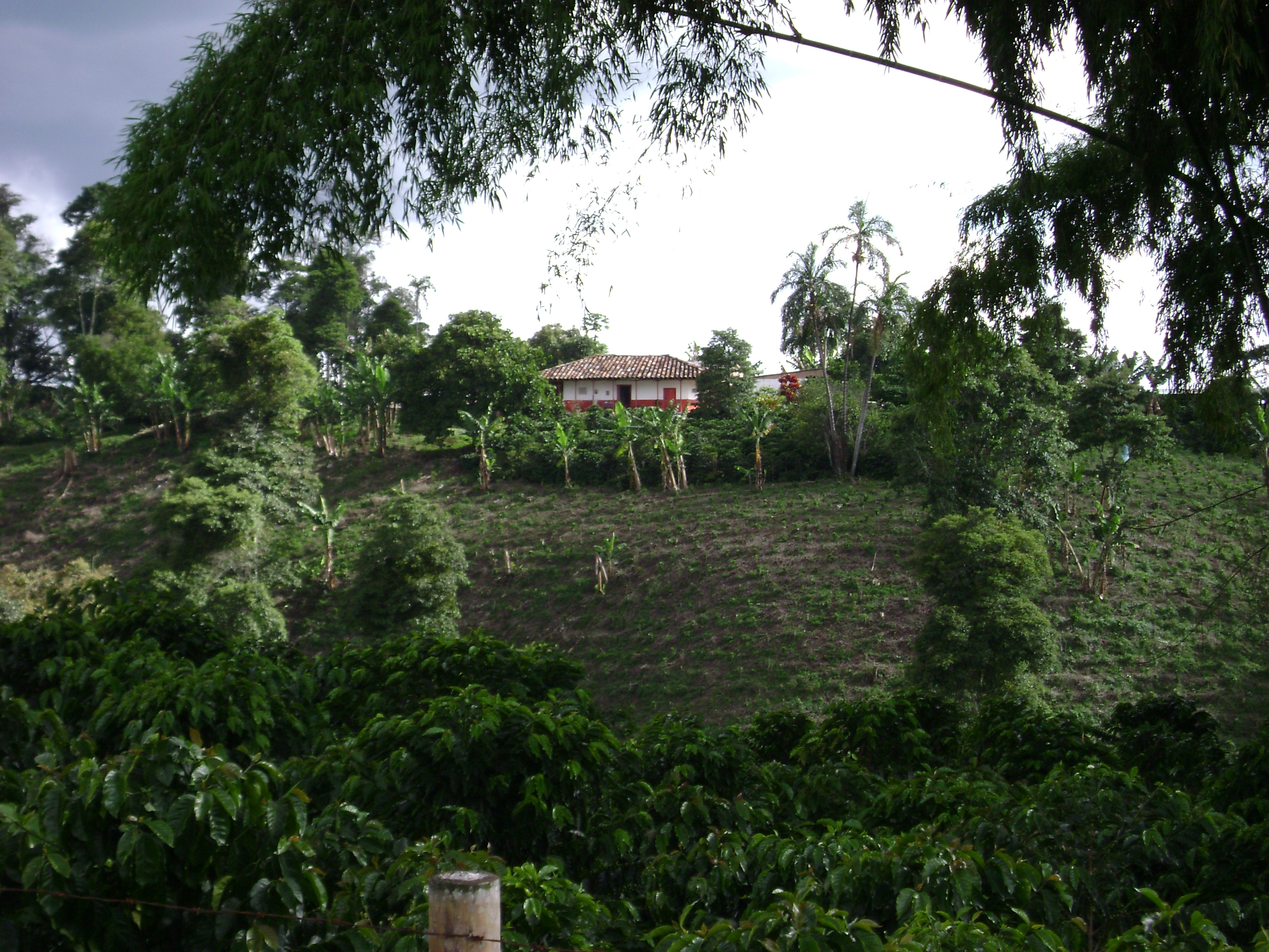 PCCC0807.jpg