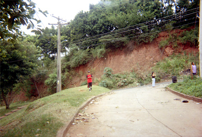 459-23.jpg