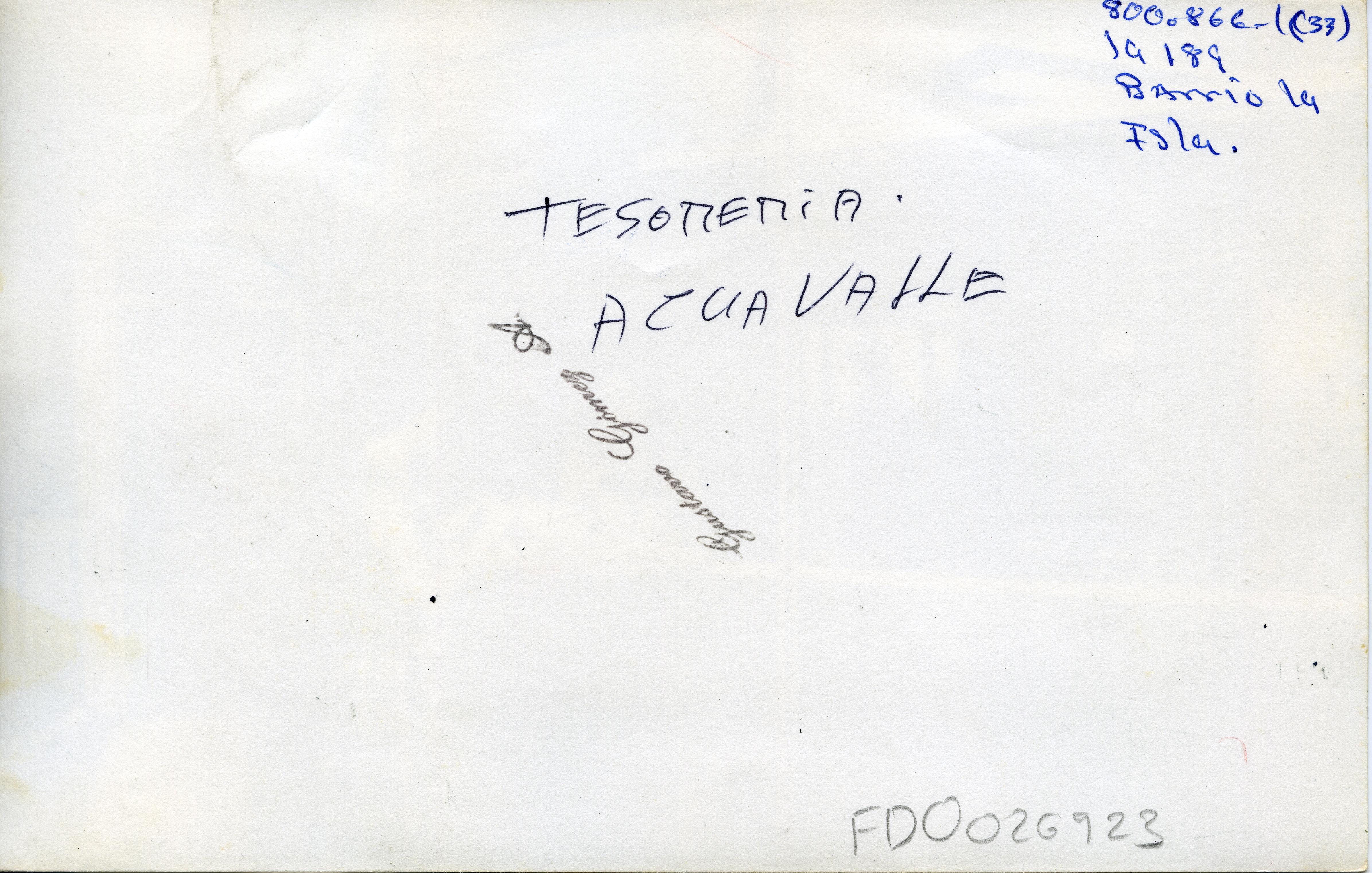 FDO026923A.jpg