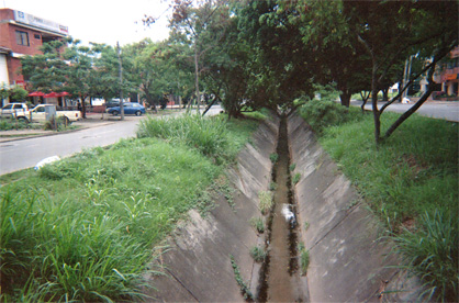 447-20.jpg