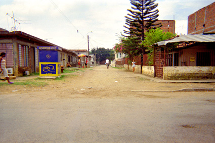 279-19.jpg