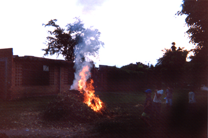 485-13.jpg