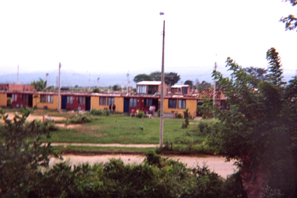 489-3.jpg