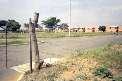 342-11.jpg