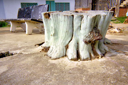 136-22.jpg