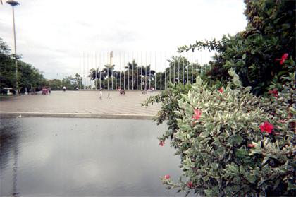 419-4.jpg