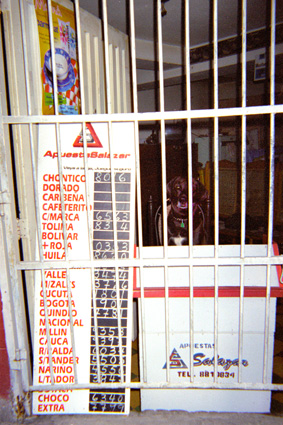 054-19.jpg