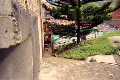 050-4.jpg