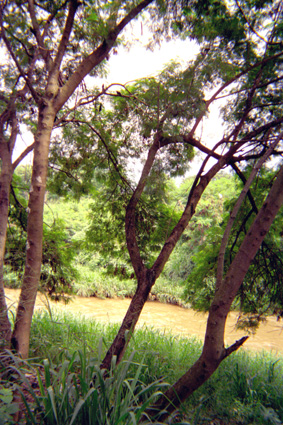 087-12.jpg