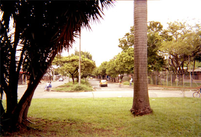096-19.jpg