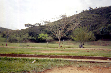 397-5.jpg