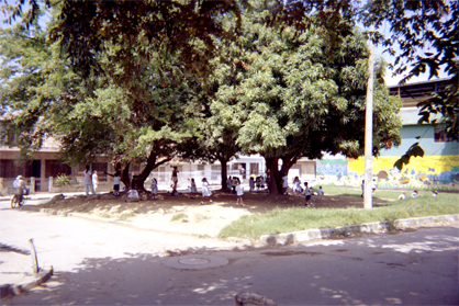 270-19.jpg