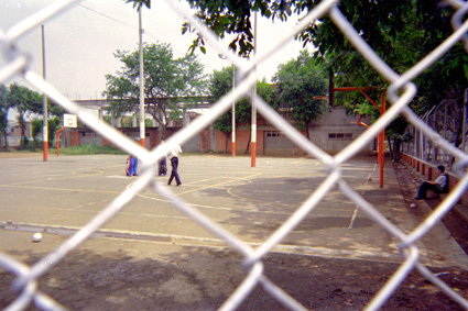 266-7.jpg